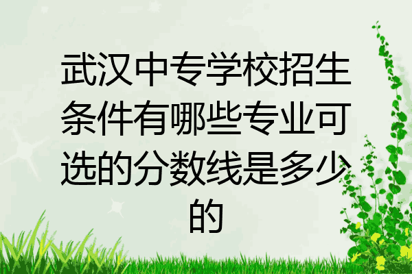 武汉中专学校招生条件有哪些专业可选的分数线是多少的