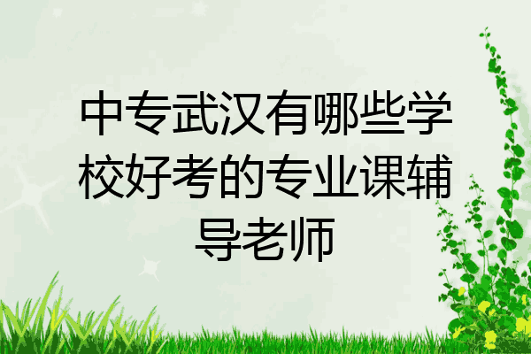 中专武汉有哪些学校好考的专业课辅导老师