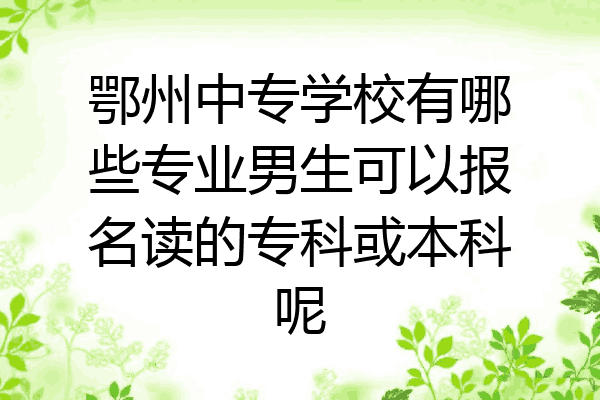 鄂州中专学校有哪些专业男生可以报名读的专科或本科呢