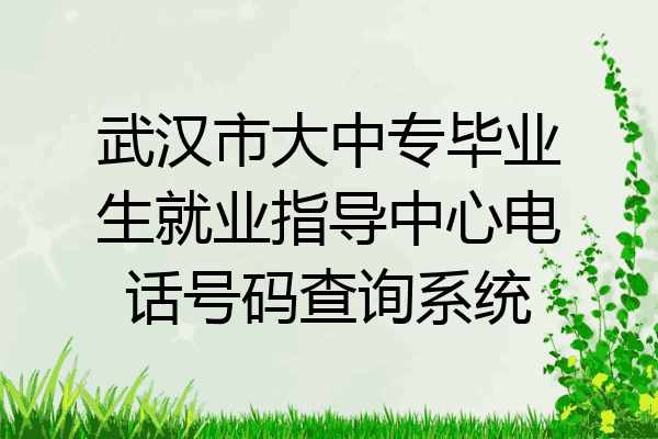武汉市大中专毕业生就业指导中心电话号码查询系统