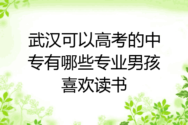 武汉可以高考的中专有哪些专业男孩喜欢读书