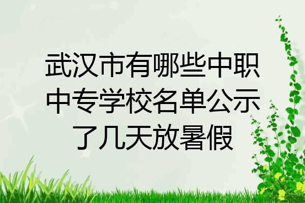 武汉市有哪些中职中专学校名单公示了几天放暑假