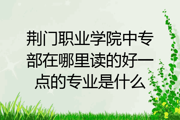 荆门职业学院中专部在哪里读的好一点的专业是什么