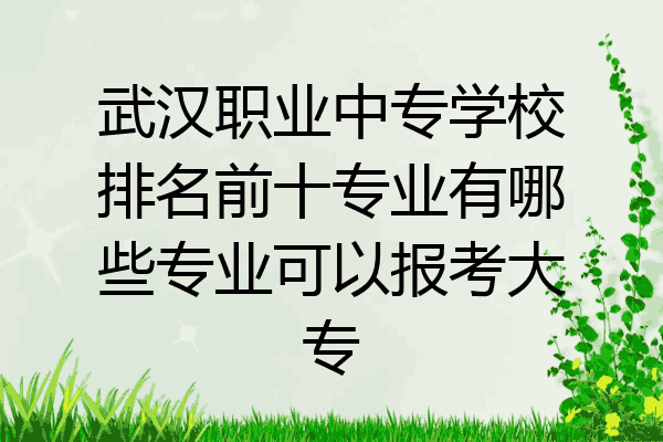 武汉职业中专学校排名前十专业有哪些专业可以报考大专