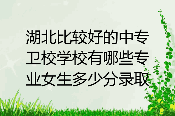 湖北比较好的中专卫校学校有哪些专业女生多少分录取
