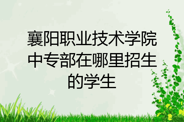 襄阳职业技术学院中专部在哪里招生的学生