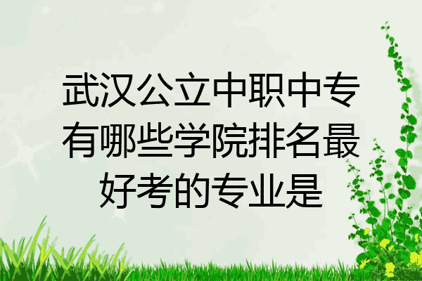 武汉公立中职中专有哪些学院排名最好考的专业是