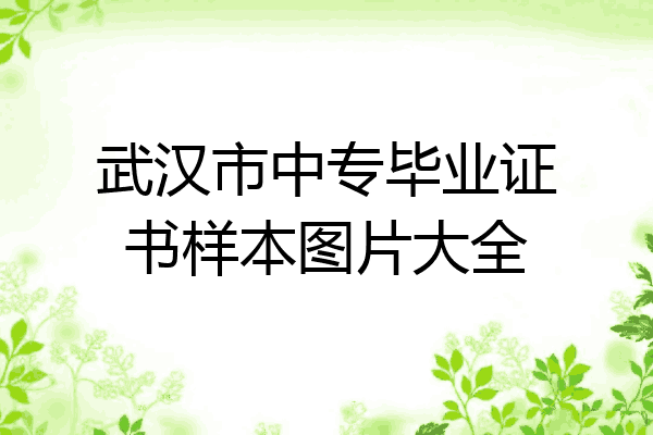 武汉市中专毕业证书样本图片大全