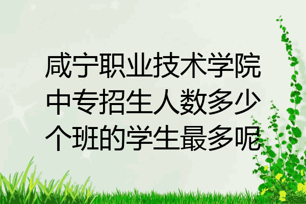 咸宁职业技术学院中专招生人数多少个班的学生最多呢
