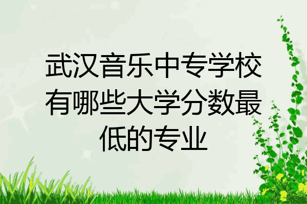 武汉音乐中专学校有哪些大学分数最低的专业