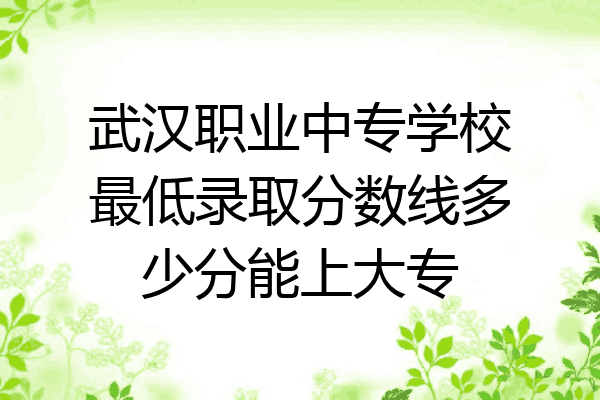 武汉职业中专学校最低录取分数线多少分能上大专