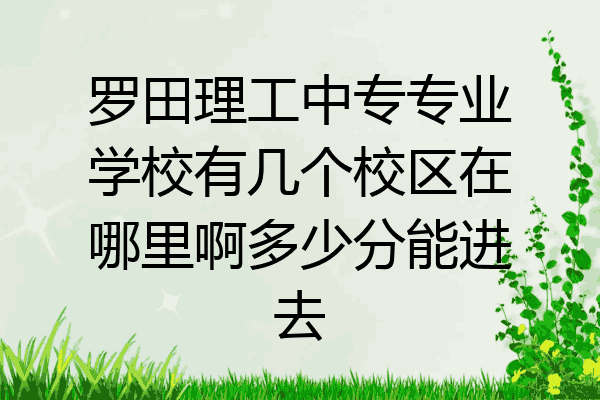 罗田理工中专专业学校有几个校区在哪里啊多少分能进去