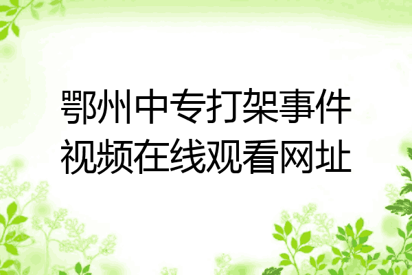 鄂州中专打架事件视频在线观看网址