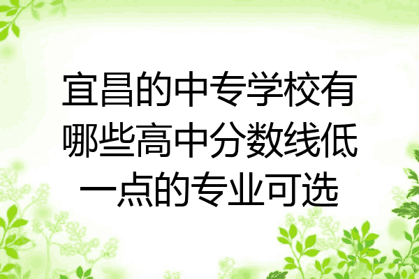 宜昌的中专学校有哪些高中分数线低一点的专业可选