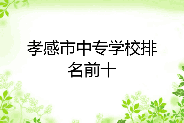 孝感市中专学校排名前十