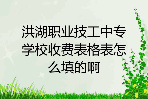 洪湖职业技工中专学校收费表格表怎么填的啊