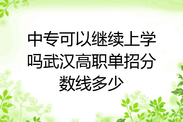 中专可以继续上学吗武汉高职单招分数线多少