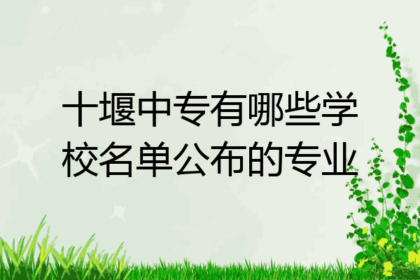 十堰中专有哪些学校名单公布的专业