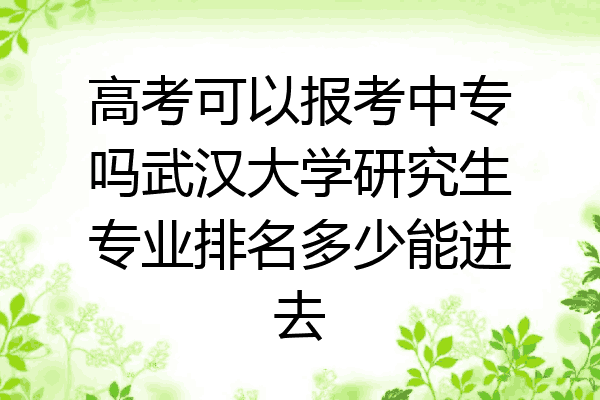 高考可以报考中专吗武汉大学研究生专业排名多少能进去
