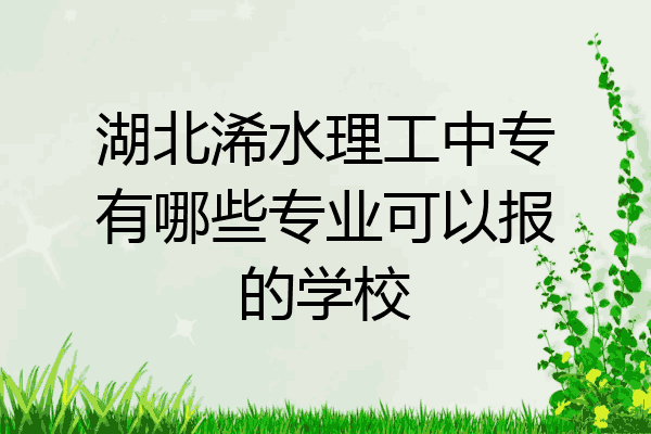 湖北浠水理工中专有哪些专业可以报的学校