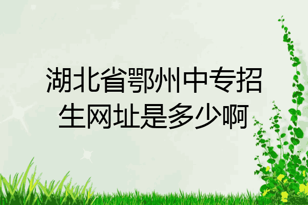 湖北省鄂州中专招生网址是多少啊