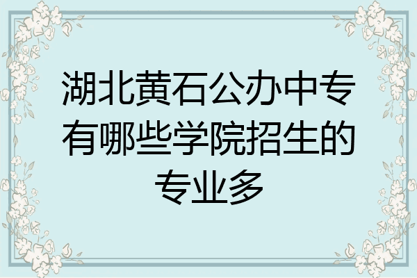 湖北黄石公办中专有哪些学院招生的专业多