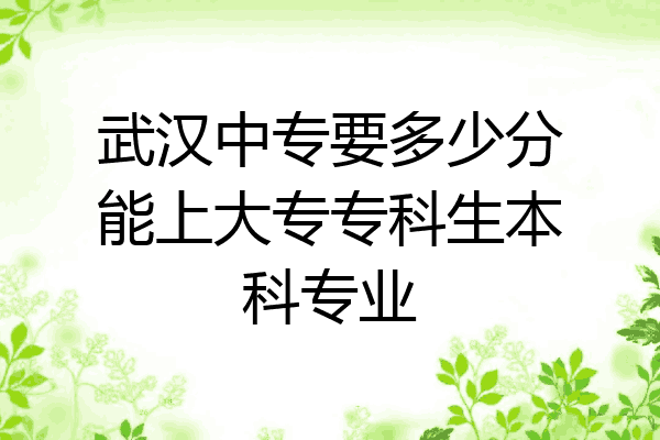 武汉中专要多少分能上大专专科生本科专业