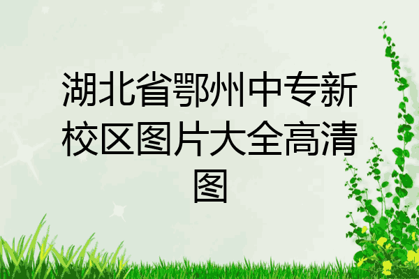 湖北省鄂州中专新校区图片大全高清图