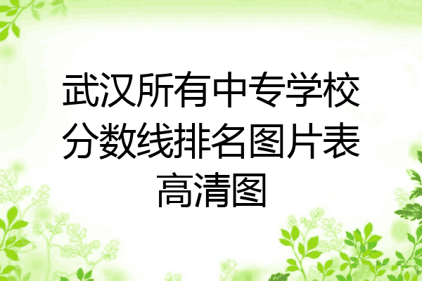 武汉所有中专学校分数线排名图片表高清图