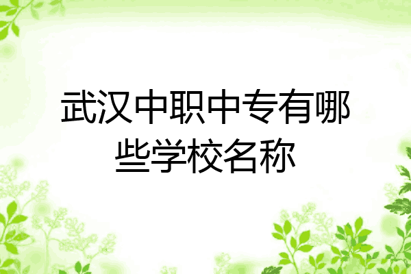 武汉中职中专有哪些学校名称