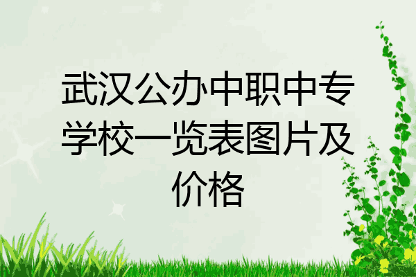 武汉公办中职中专学校一览表图片及价格