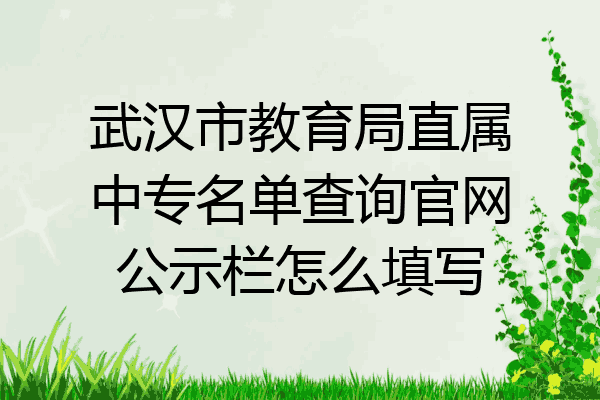 武汉市教育局直属中专名单查询官网公示栏怎么填写