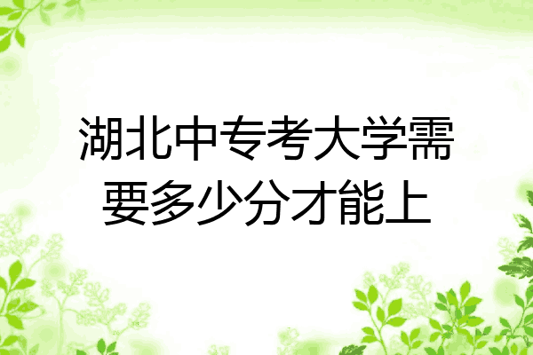 湖北中专考大学需要多少分才能上