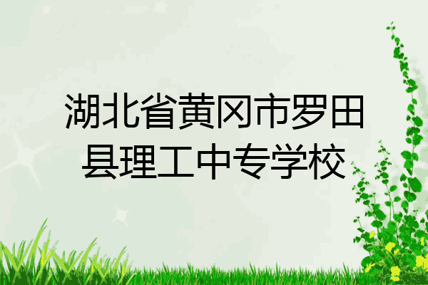 湖北省黄冈市罗田县理工中专学校