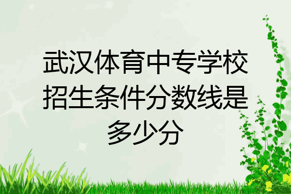 武汉体育中专学校招生条件分数线是多少分