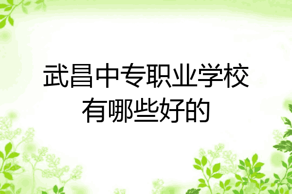 武昌中专职业学校有哪些好的
