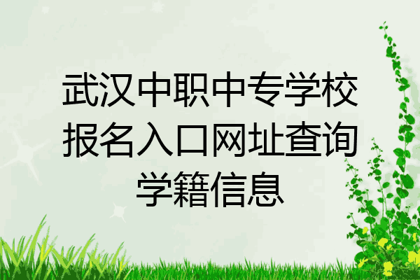 武汉中职中专学校报名入口网址查询学籍信息