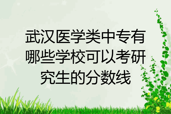 武汉医学类中专有哪些学校可以考研究生的分数线