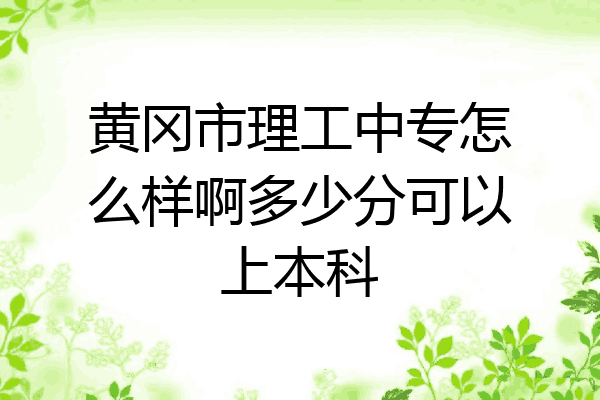 黄冈市理工中专怎么样啊多少分可以上本科