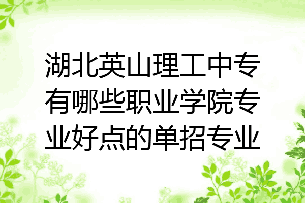 湖北英山理工中专有哪些职业学院专业好点的单招专业