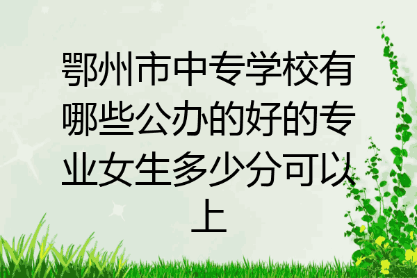 鄂州市中专学校有哪些公办的好的专业女生多少分可以上