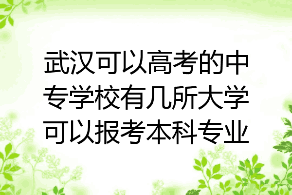 武汉可以高考的中专学校有几所大学可以报考本科专业