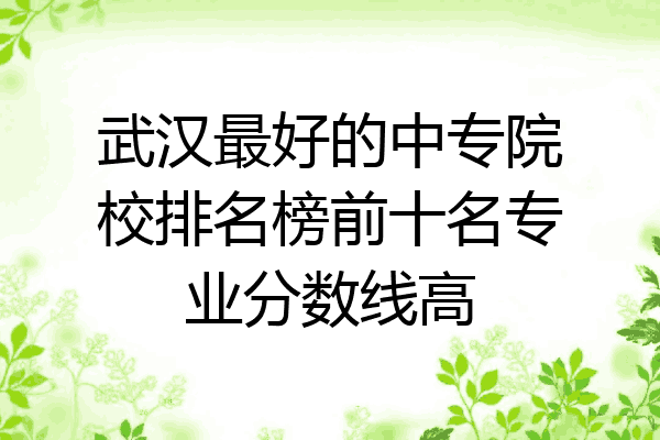 武汉最好的中专院校排名榜前十名专业分数线高