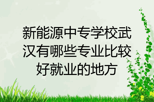 新能源中专学校武汉有哪些专业比较好就业的地方