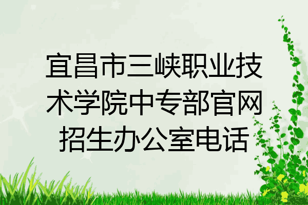 宜昌市三峡职业技术学院中专部官网招生办公室电话