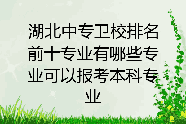湖北中专卫校排名前十专业有哪些专业可以报考本科专业