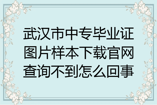 武汉市中专毕业证图片样本下载官网查询不到怎么回事