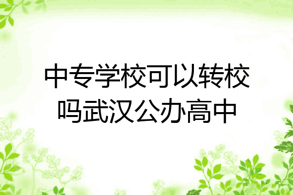 中专学校可以转校吗武汉公办高中