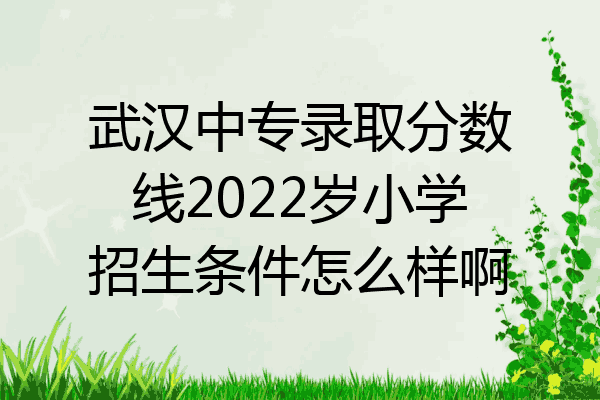武汉中专录取分数线2022岁小学招生条件怎么样啊