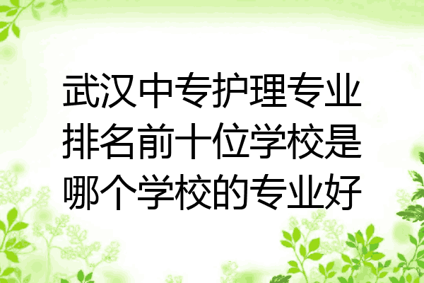 武汉中专护理专业排名前十位学校是哪个学校的专业好